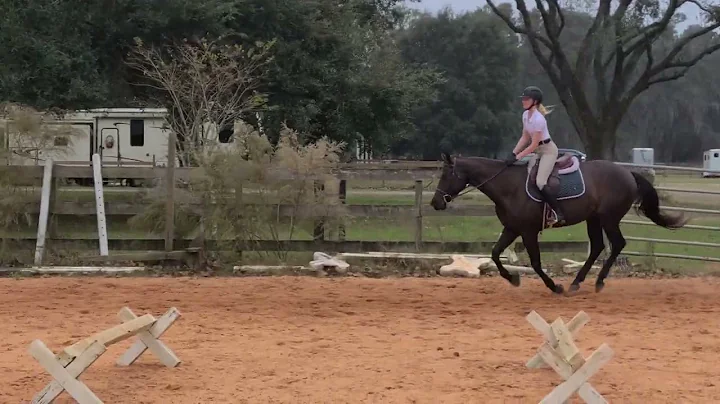HRF - Meaghan and Flynn Lesson - 11/22/2022