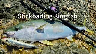 Solid kingfish smashing it in shallow water.