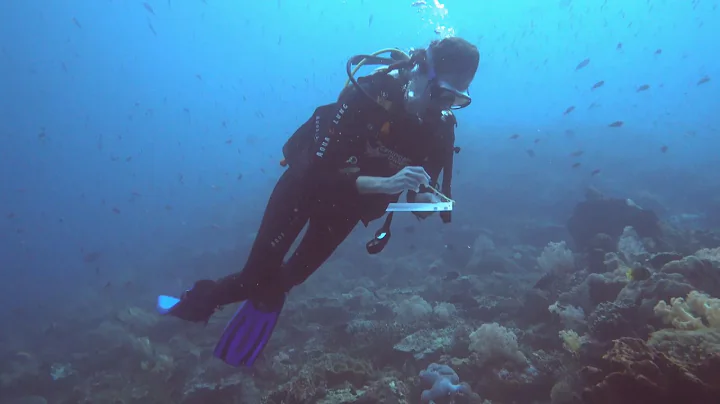 Kristen Advanced Open Water Ceningan Divers