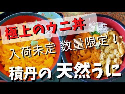 【北海道グルメ】北海道・積丹(しゃこたん)半島のウニ丼が美味しい!