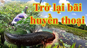 Hành trình săn cá lóc hugo tập 47