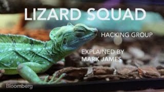 Hackers: Who Is the Lizard Squad? Hackers: Who Is the Lizard Squad?