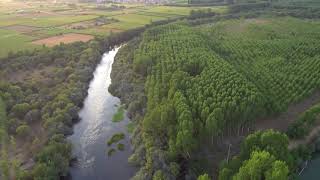 Rio Esla y Tera