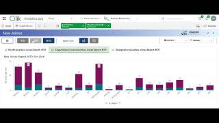 Transform Workforce Management with HR Analytics Dashboard | Qlik Sense