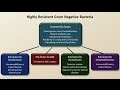 Antibiotics for Gram Negative Infections (Antibiotics - Lecture 5)