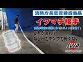 イワマチ接手