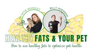 Coconut Oils & Other Healthy Fats For Pets by Dr. Katie Woodley - The Natural Pet Doctor 1,677 views 1 year ago 1 hour, 20 minutes