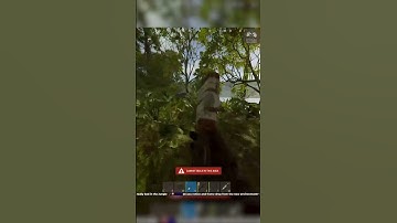 hJune Goes Crazy with New Weapons! XD #rust #rustpvp #rustgame #rustclips #rustshorts #rustconsole