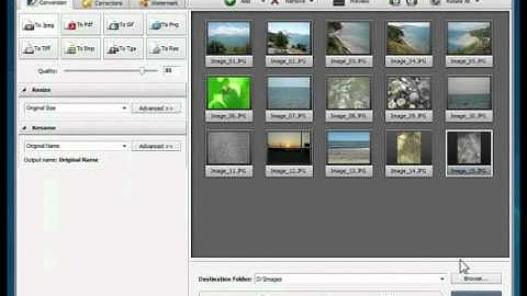 How to resize your photos for printing using AVS Image Converter?