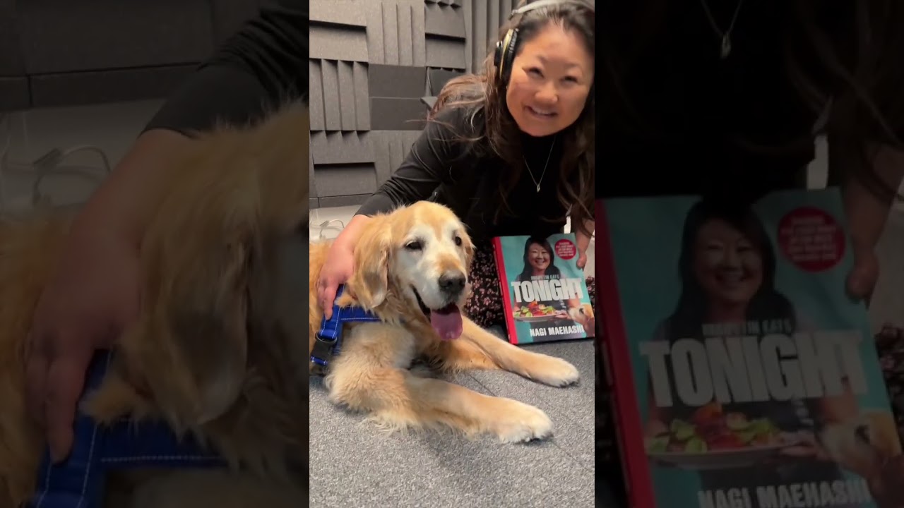 Day in the Life of Dozer