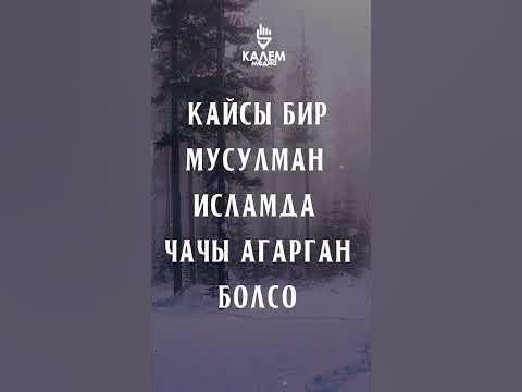Калем медиа - YouTube