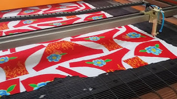 Fabric laser cutting machine with big vision system(scanning camera)