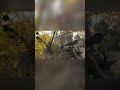 More Sniping and Headshots