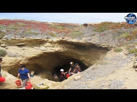 Vídeo: Arqueólogos Encontraram Na Bolívia Um Gigantesco 