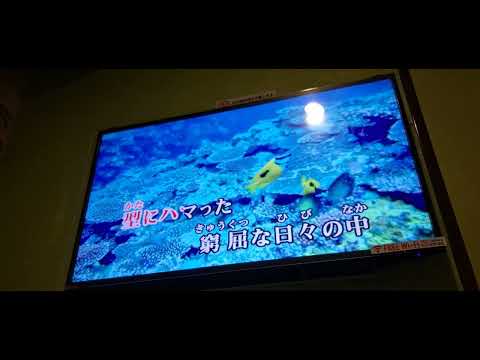 【Uru 】『アンビバレント』/TVアニメ「薬屋のひとりごと」第2クールOPテーマ/歌ってみた カラオケ