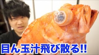 モンスターハンター！！大型アコウダイさばいて4種類料理を作る！！