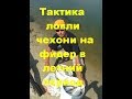 ТАКТИКА ЛОВЛИ ЧЕХОНИ НА ФИДЕР В ЛЕТНИЙ ПЕРИОД.ПОИСК МЕСТ СТОЯНОК РЫБЫ