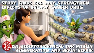 CBD May Strengthen Effects of Breast Cancer Drug. CB1 Receptors Found Critical for Myelin Regenerati