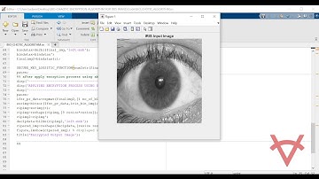 BIO CHAOTIC ENCRYPTION ALGORITHM FOR IRIS IMAGE