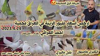 محمية احمد العراقي لبيع وتربية الحيوانات 2023/4/24 | ارخص أسعار الطيور في العراق مع احمد العراقي