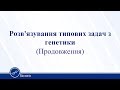 Розв'язування типових задач з генетики. Біологія 11 клас