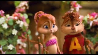 Ninja - License - Chipmunks Version