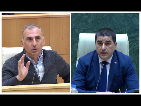 გაიყვანეთ დარბაზიდან - პაპუაშვილმა ელსაშვილი სესიიდან გააგდო  - ხმაური პარლამენტში