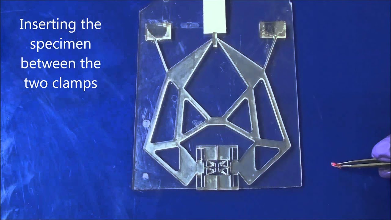 A Contact aided Composite Compliant Mechanism To Clamp And Stretch Soft a-contact-aided-composite-compliant-mechanism-to-clamp-and-stretch-soft