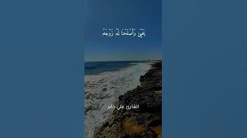 وَزَكَرِيَّآ إِذْ نَادَىٰ رَبَّهُ♡القارئ علي جابر🕊اذكرو الله