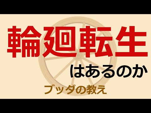 輪廻転生の意味とは ブッダの教えなのか Youtube