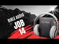 Job 14  la bible audio avec textes