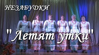 НЕЗАБУДКИ НЕЗАБУДКИ