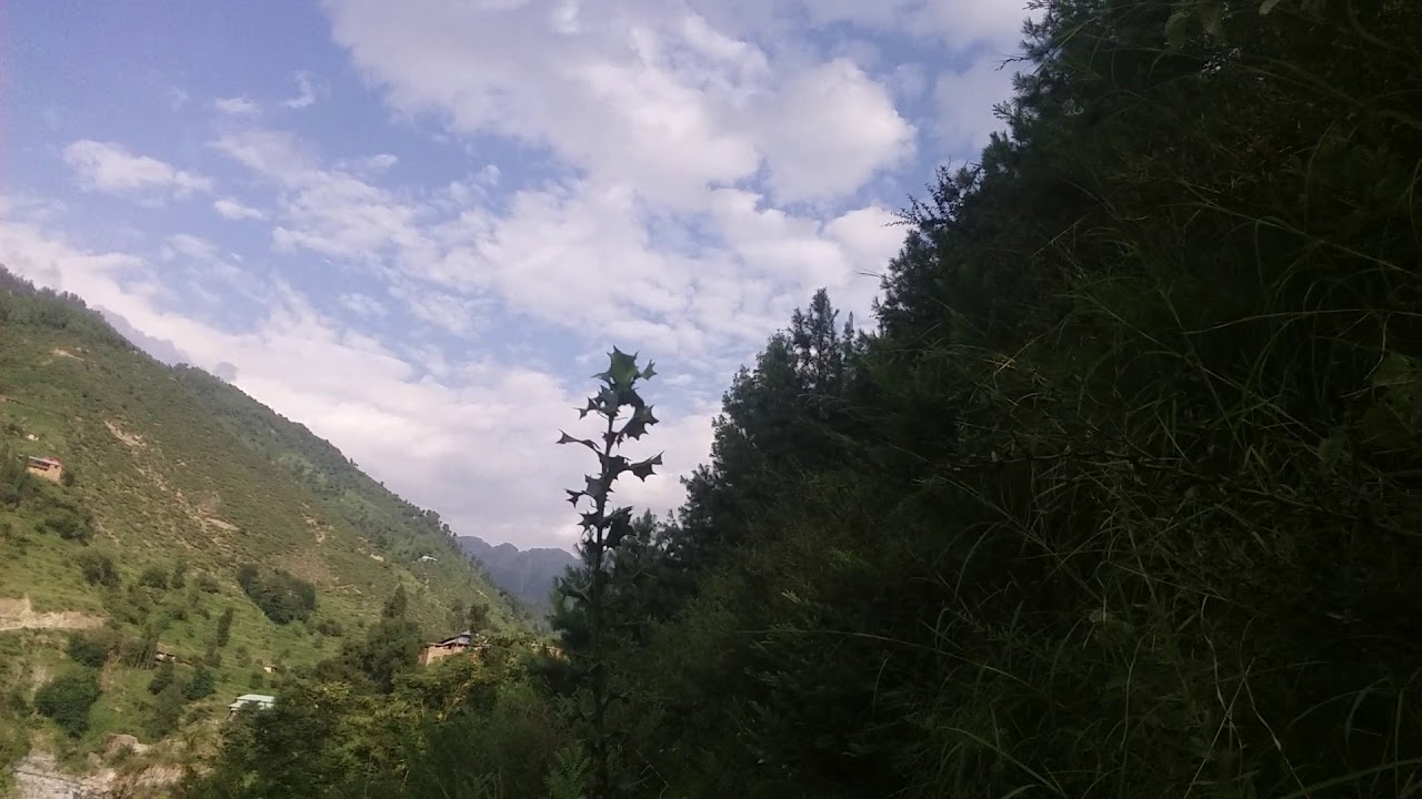 Upper dir