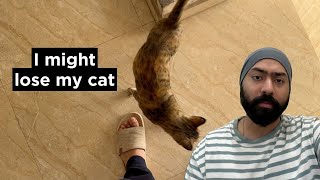 I might lose my cat 😭 | Sardarcasm