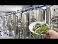 雑草とか虫で、野食ビールを作ろう！
