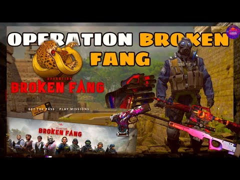 EVERYTHING YOU NEED TO KNOW ABOUT OPERATION BROKEN FANG | elsu