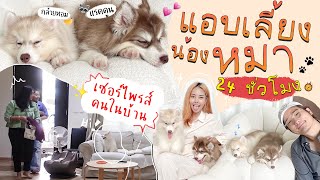 แอบเลี้ยงหมา 24 ชม. 🐶เซอร์ไพรส์คนที่บ้านแบบสุดยอด 🤣🥳😅 l Bew Varaporn