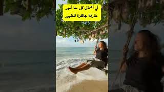 حكم واقوال جميلة و قصيرة️عن الحياة/كلام من ذهب #shorts