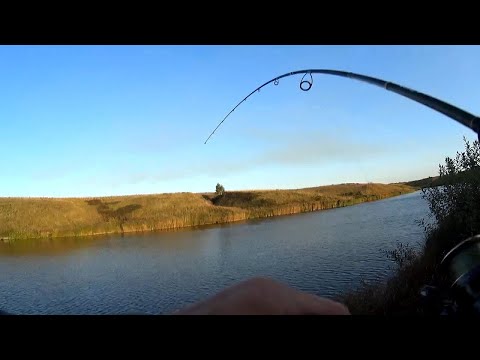 Video: Մանում ձկնորսություն