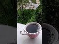 #vlog #günlükvlog #temizlikfikirleri #evtemizliğivlog #yeniürünler #viral #easy #keşfet
