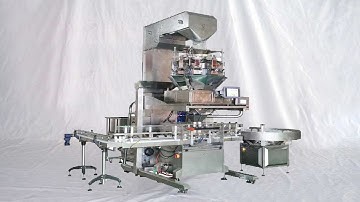 nails screws bagging machine demo double line filling hardware into boxes with multi heads weighing