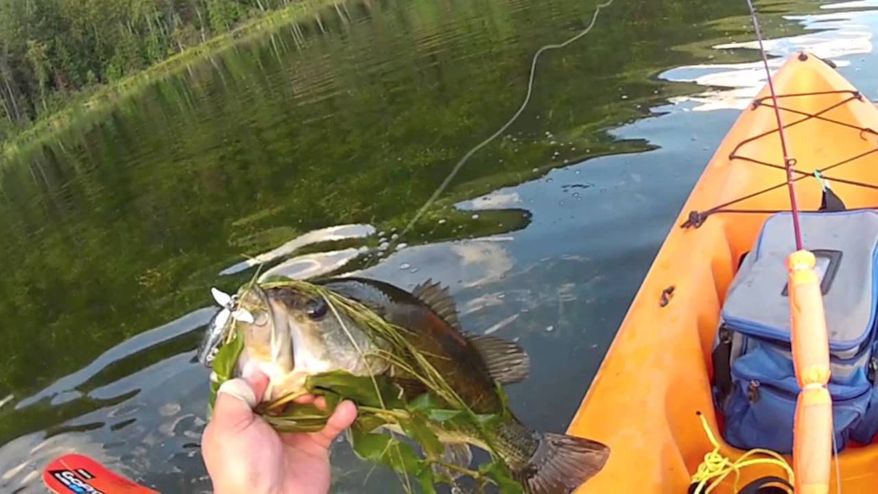 Bass Fishing Compilation 2013 YouTube