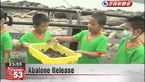 Abalone Release