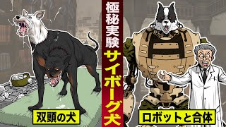 【極秘実験】ソ連の犬のサイボーグ化実験。犬の首を繋ぎ合わせ...双頭の犬やサイボーグ犬を作った。