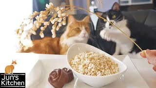 Popcorn Rice by JunsKitchen 5,244,349 views 6 years ago 4 minutes, 48 seconds