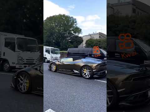 لديك الكراك والكراك لديك يوان من شخصك كوي الصور تحميل موسيقى