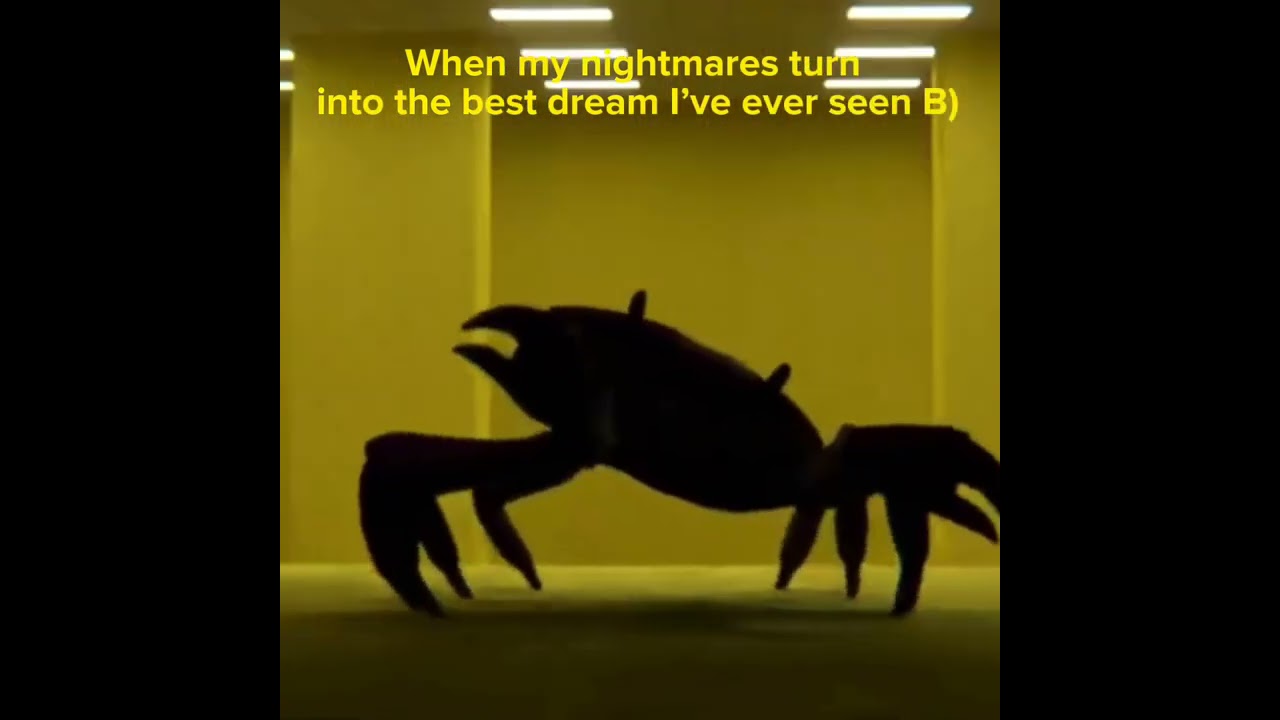 When My Nightmares Turn Into The Best Dream I Ve Ever Seen B Backrooms Shorts