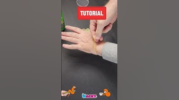 Crazy Pringles Exploding Potato Magic Trick Tutorial 🎩🪄  #magic