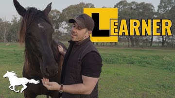 Learning to Ride a Horse as an Adult: The Struggles No One Talks About