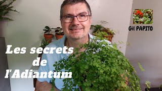 Les Secrets de l'Adiantum